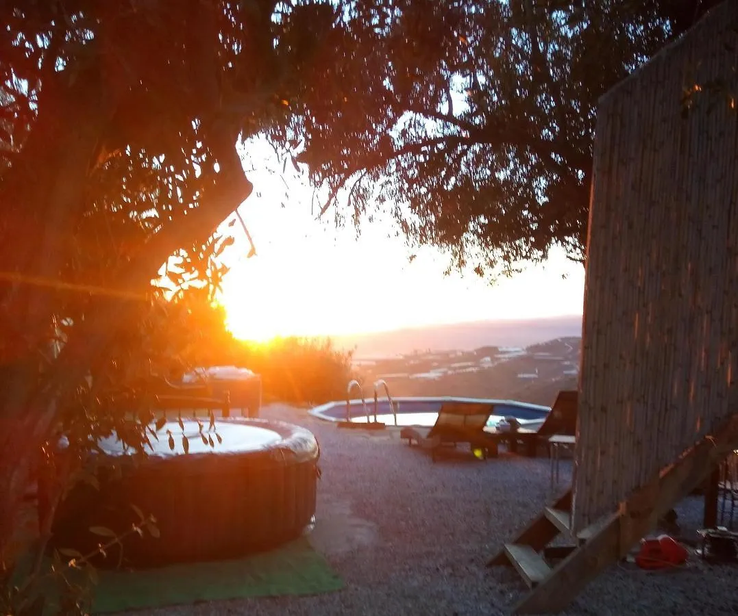 Treehouse ,Casa Arbol, With Spa Algarrobo
