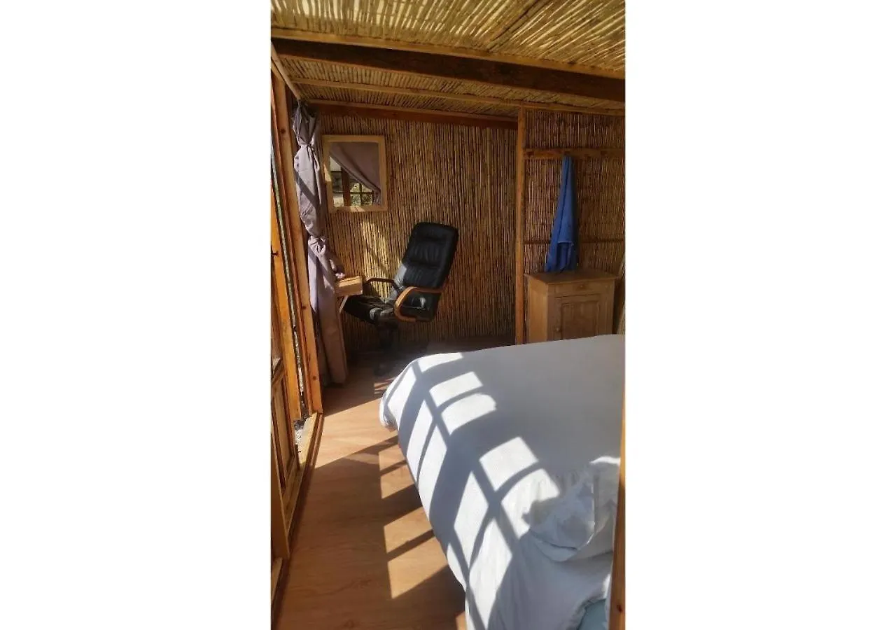 Treehouse ,Casa Arbol, With Spa 알가로보 0*,  스페인